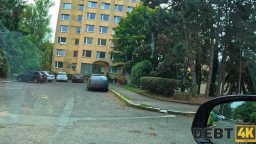 Marica Chanelle - Into The Wild 14 10 2025